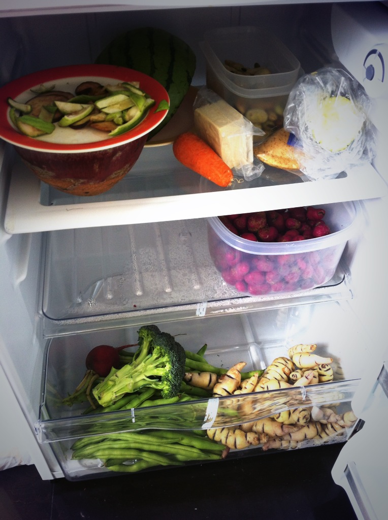 Der Kühlschrank von Agnes, einer deutschen Veganerin in Kolumbien
